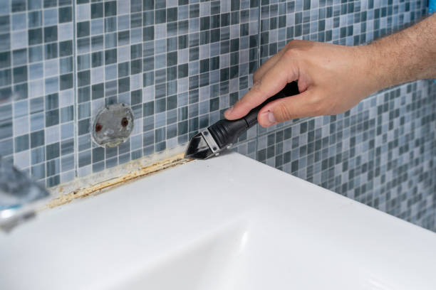 Best Preventive Mold Services in Williams, CA